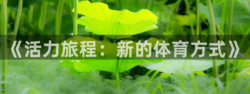 意昂体育老板是谁