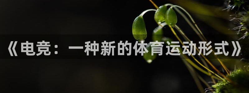 意昂f凯捷注册