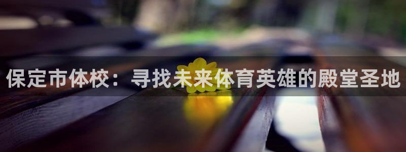 意昂体育凯捷代理注册