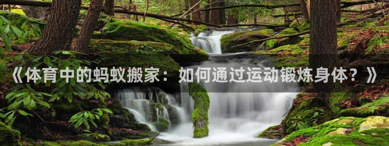 意昂体育免费注册入口