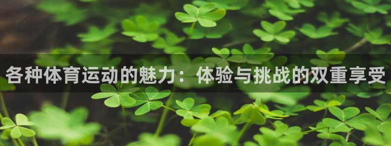 意昂体育平台登录入口