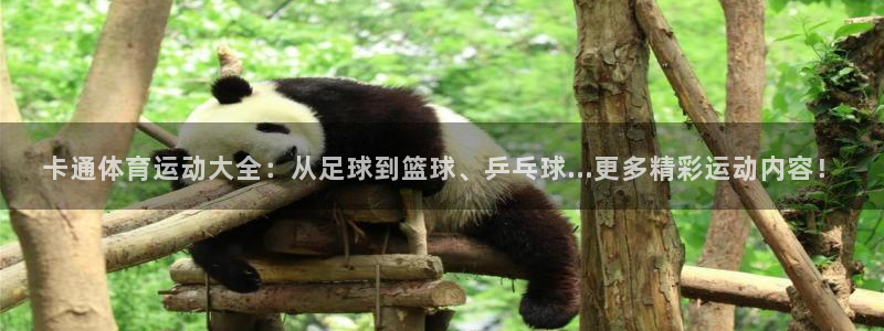 意昂3登录