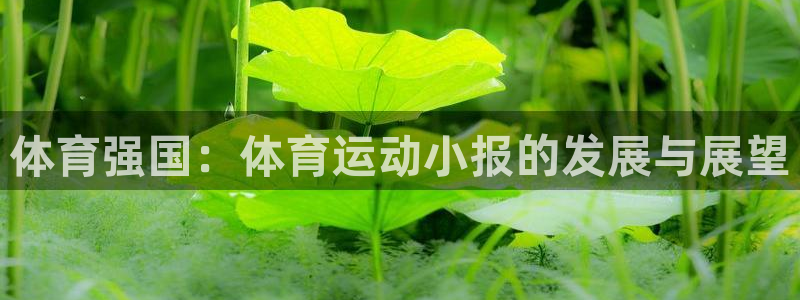 意昂2平台登录