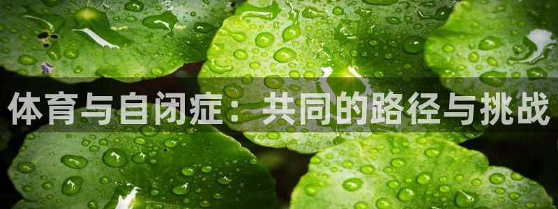 上海意昂汽车电子有限公司
