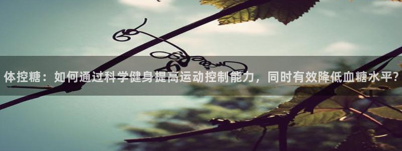 上海意昂汽车电子有限公司