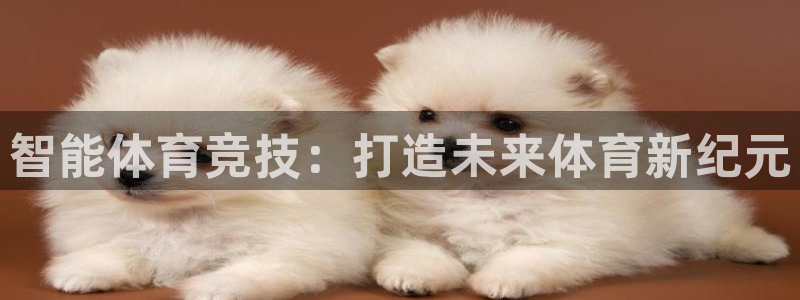 意昂体育和杏耀是哪个公司的