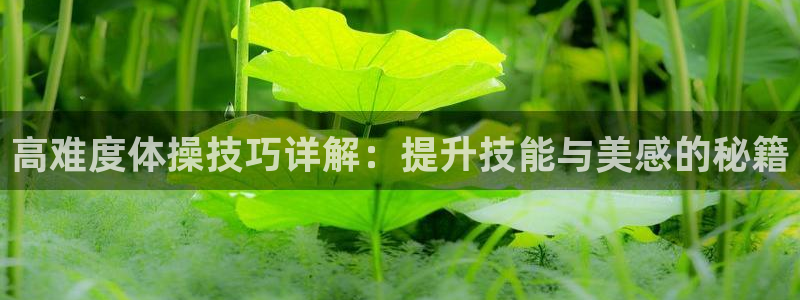 意昂5招商