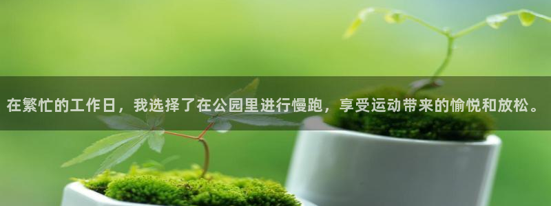 意昂体育凯捷平台主管