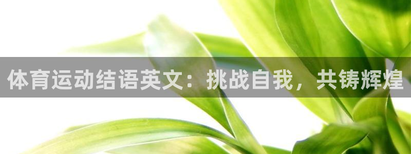意昂体育平台开号链接