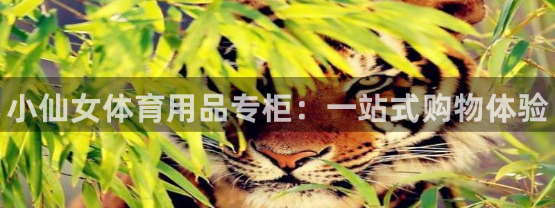 意昂体育平台开号链接