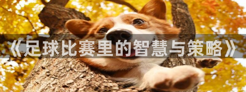 意昂5注册