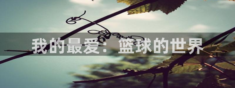 意昂2体育