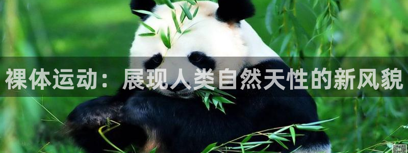 意昂凯捷注册