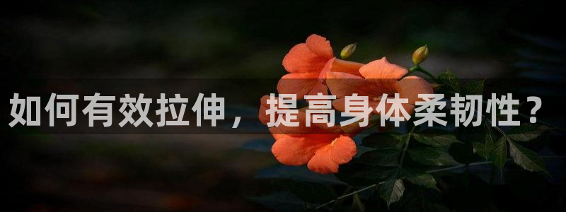 意昂体育老板是谁