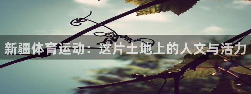 意昂体育凯捷平台招商