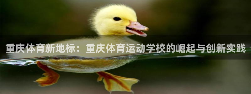 东莞市意昂电子科技有限公司