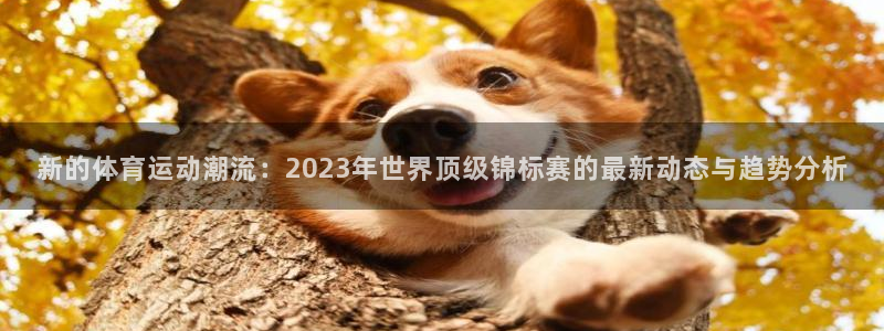 意昂3平台登录注册