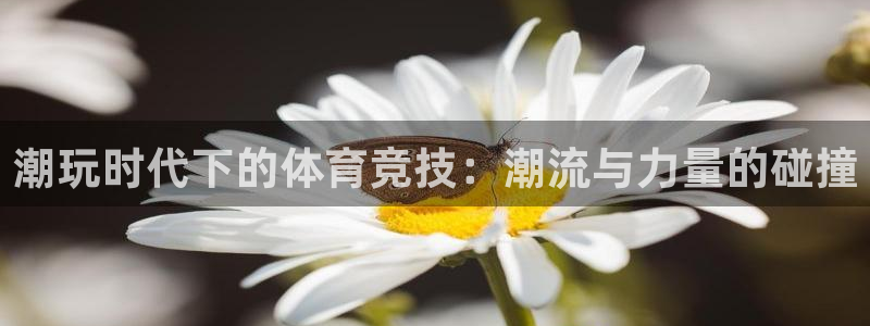 意昂体育凯捷平台代理